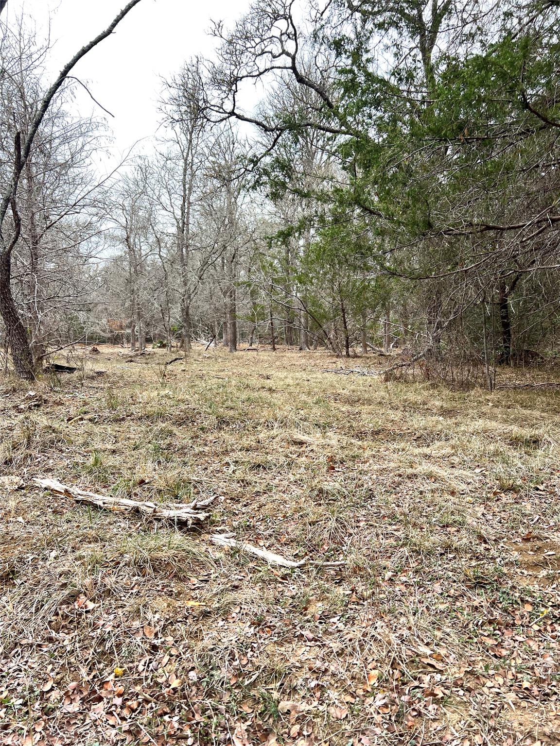 TBD LOT A Watterson Rd, Bastrop, TX 78602