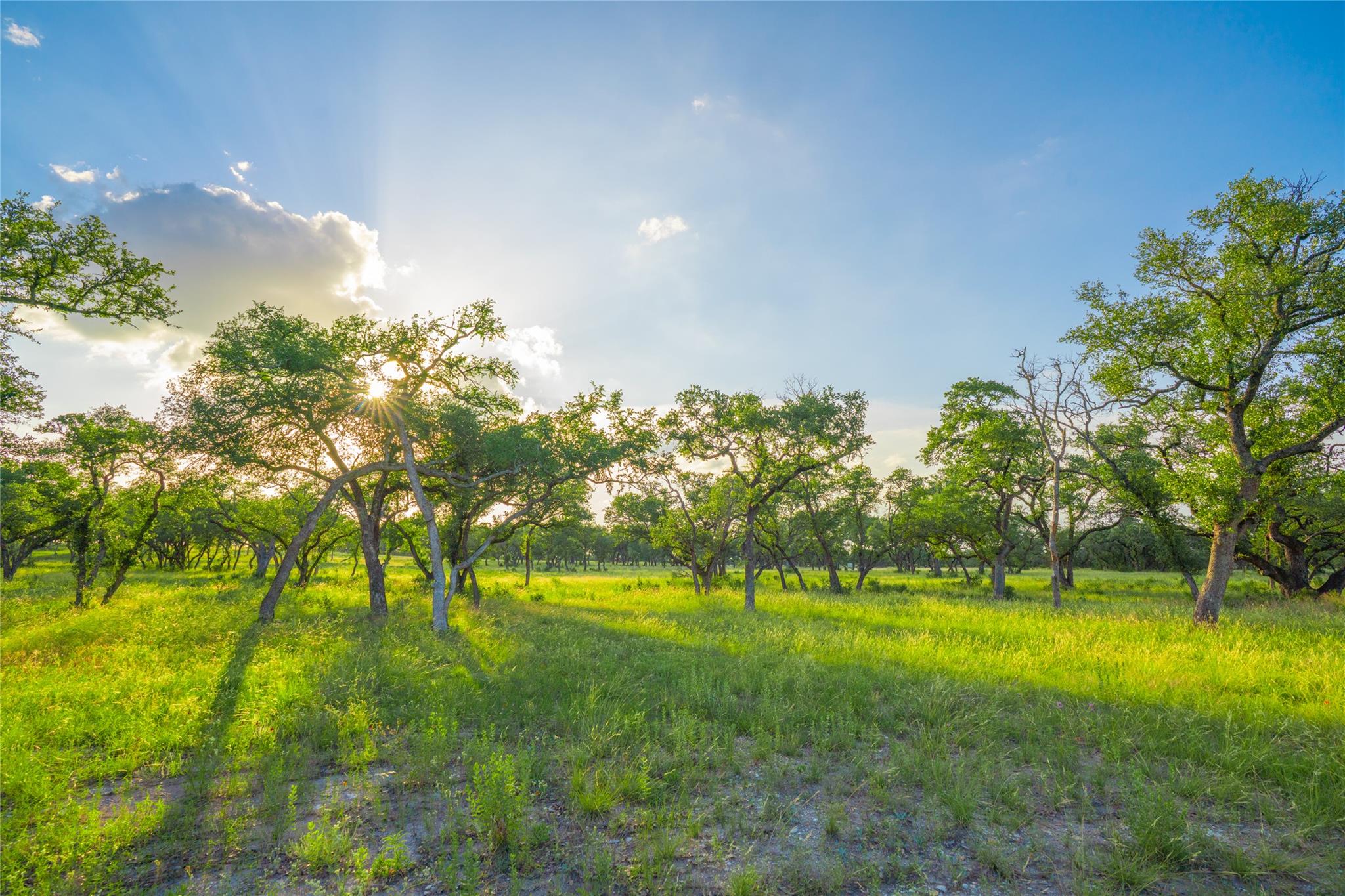 000 Twisted Vine Rnch, Johnson City, TX 78636
