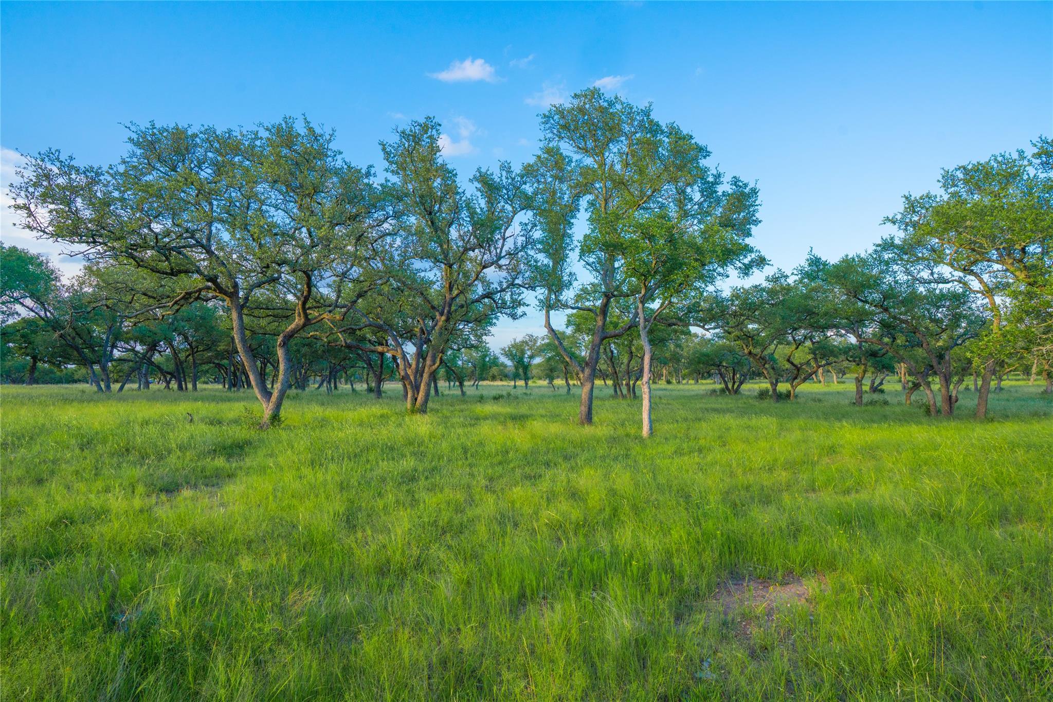 000 Twisted Vine Rnch, Johnson City, TX 78636