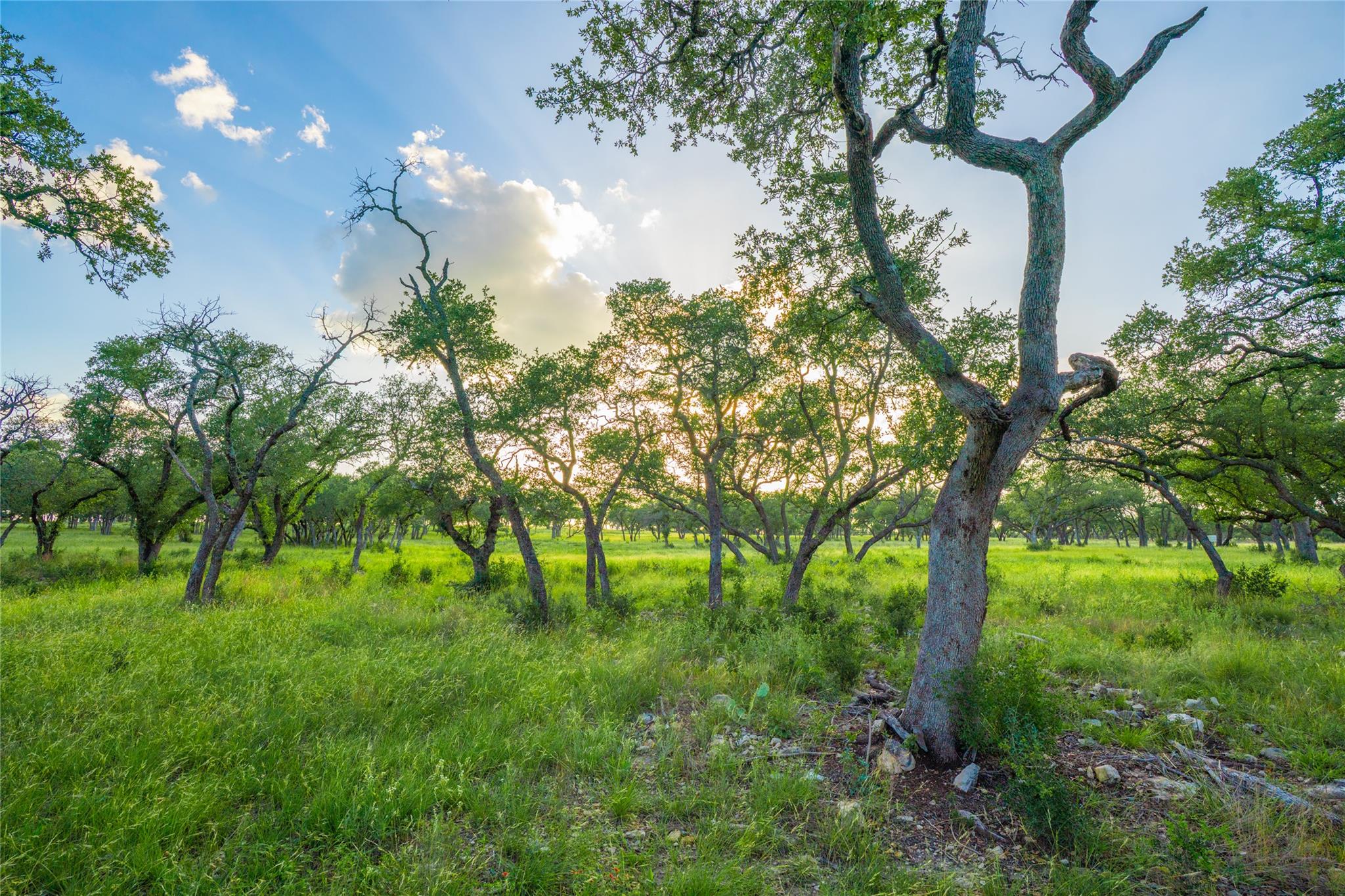000 Twisted Vine Rnch, Johnson City, TX 78636