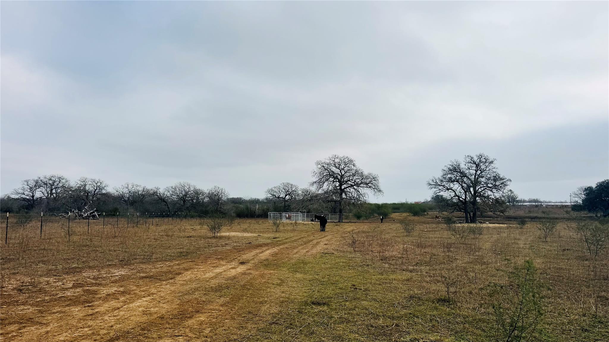 957 Johnson Farms Rd, Harwood, TX 78632