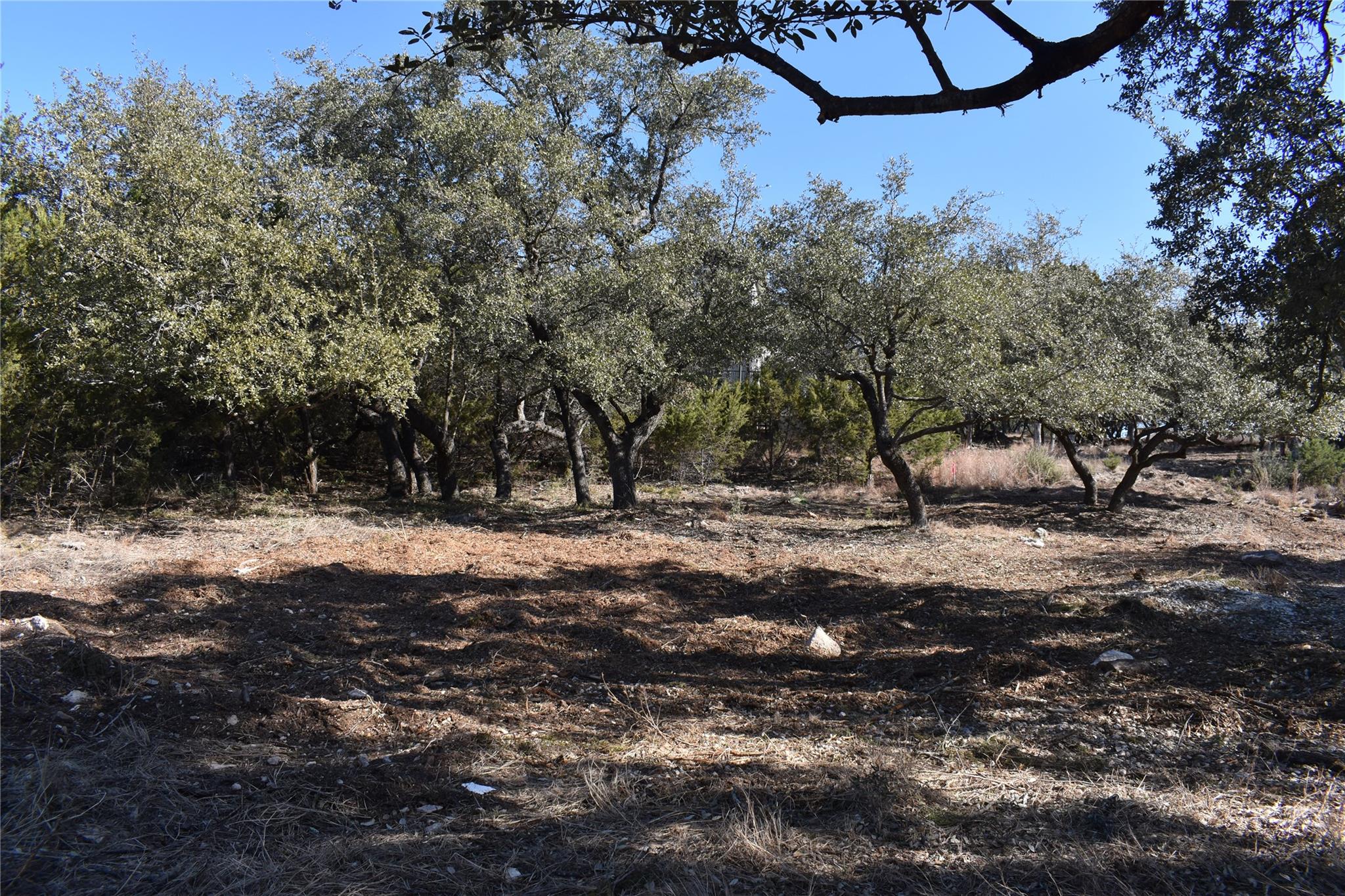 21719 Sierra Trl, Lago Vista, TX 78645