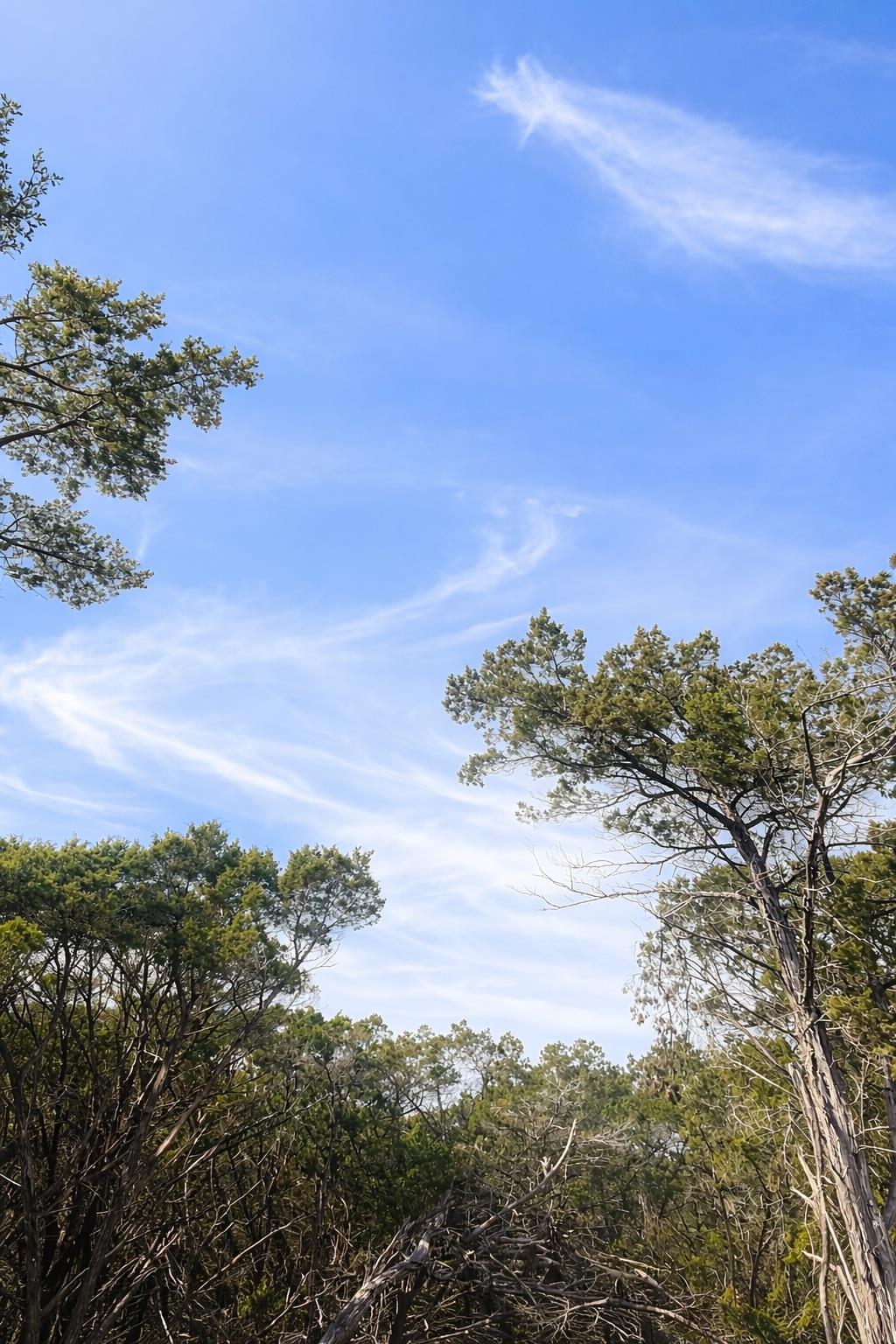 4314 County Road 108 Rd, Burnet, TX 76550