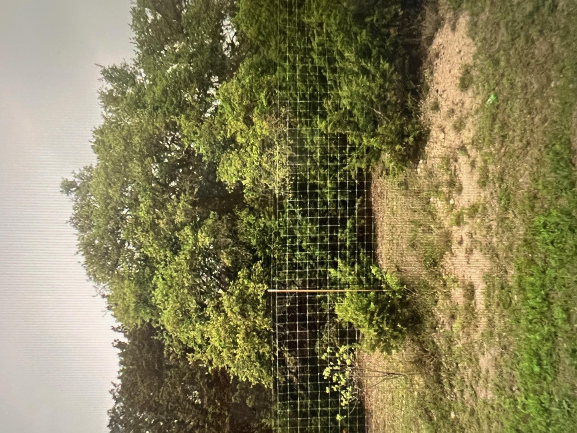 4314 County Road 108 Rd, Burnet, TX 76550