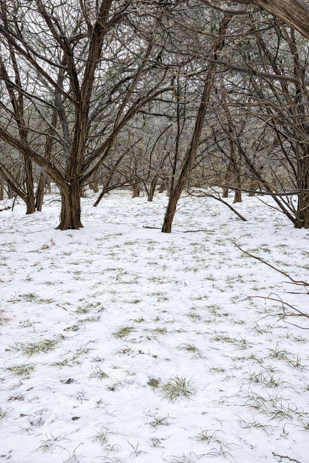 4314 County Road 108, Burnet, TX 78611