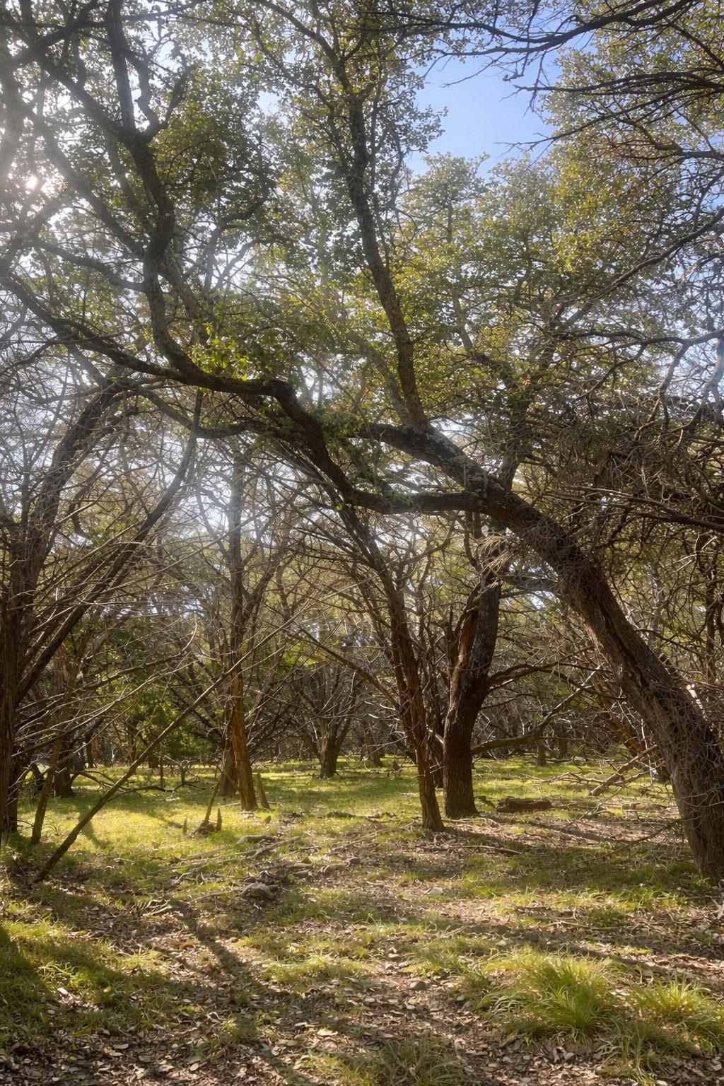 4314 County Road 108 Rd, Burnet, TX 76550