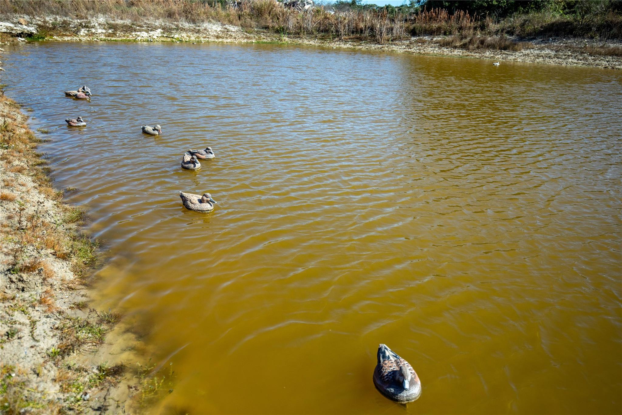 504 Shaver Rd, Aransas Pass, TX 78336