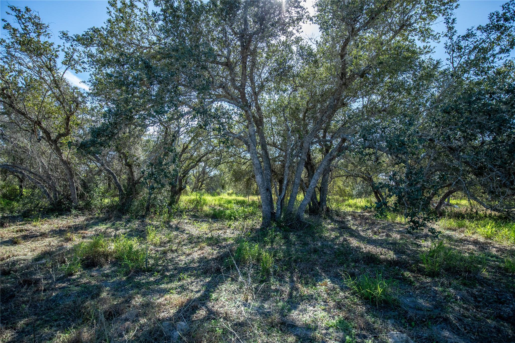 504 Shaver Rd, Aransas Pass, TX 78336