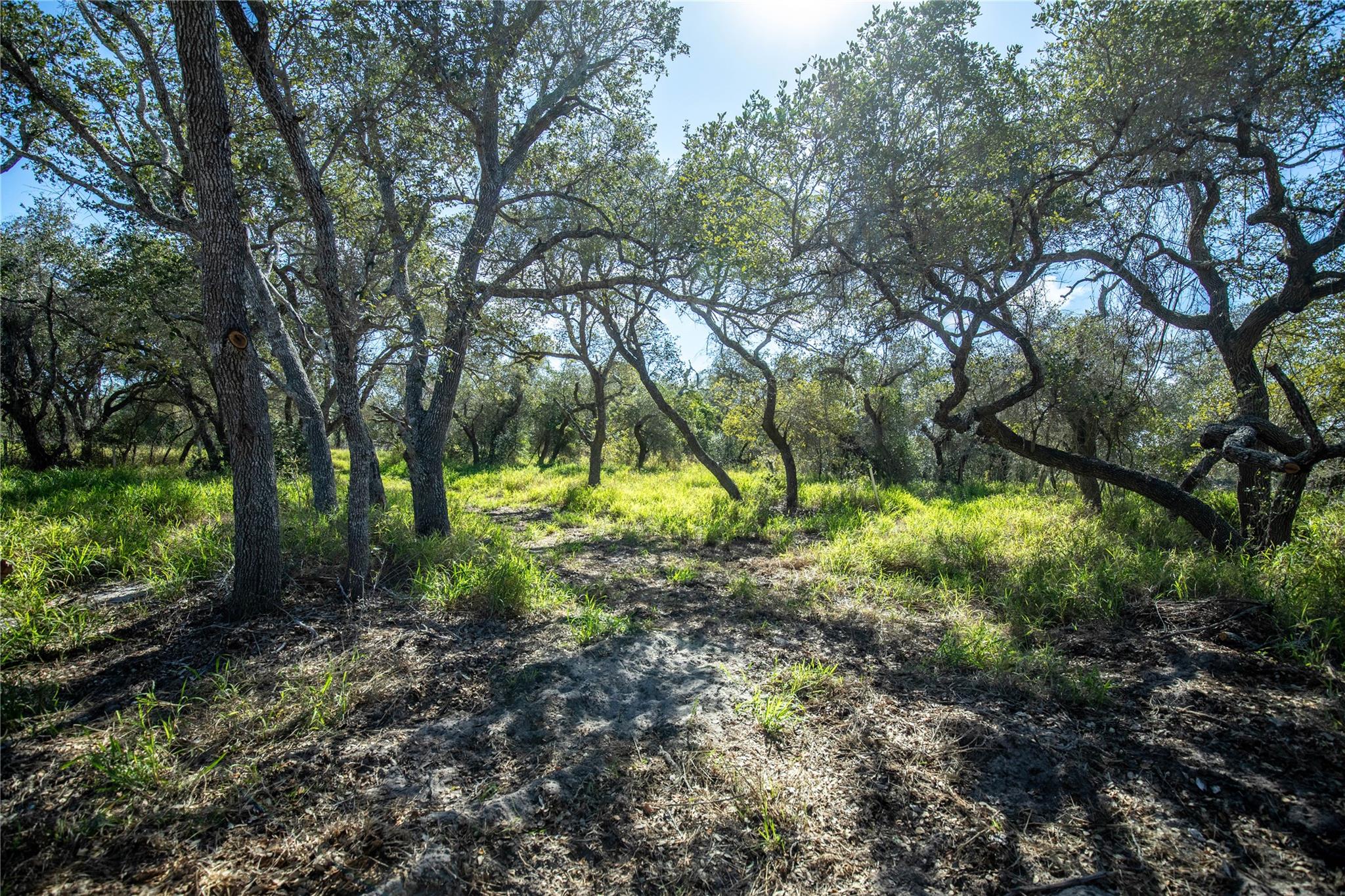 504 Shaver Rd, Aransas Pass, TX 78336