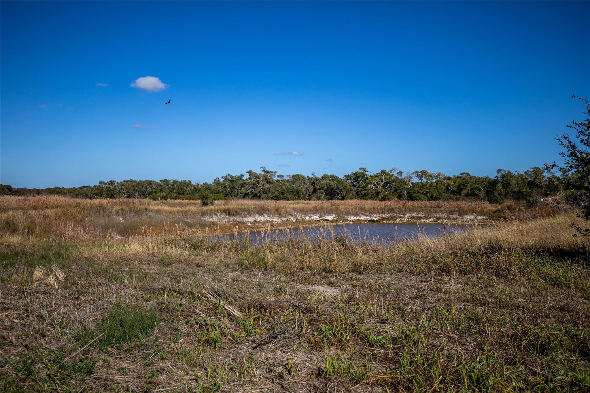 504 Shaver Rd, Aransas Pass, TX 78336