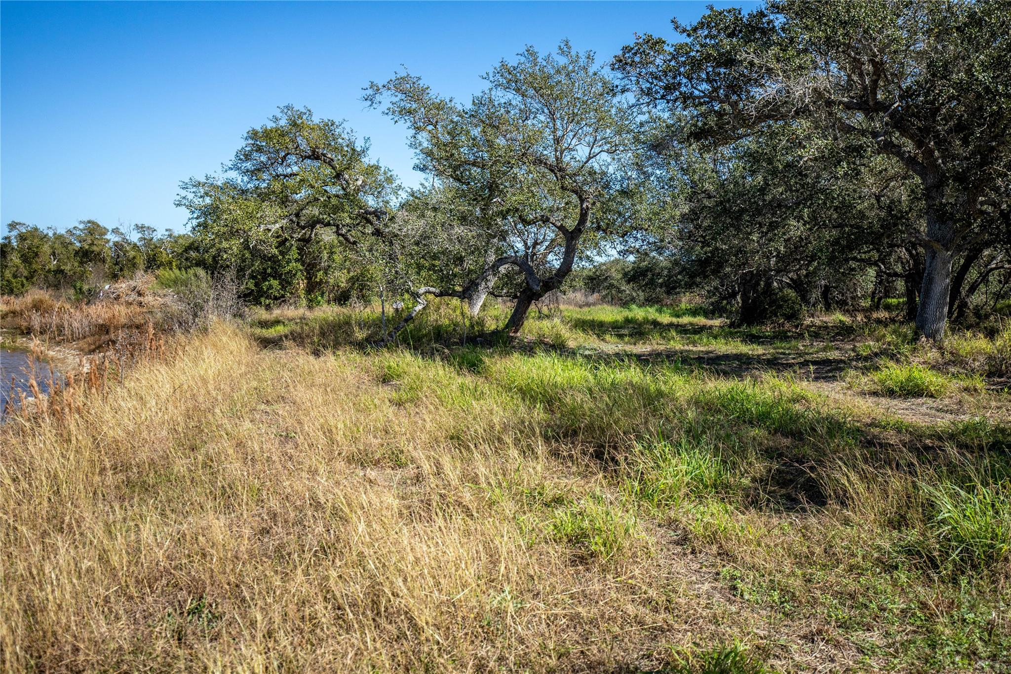 504 Shaver Rd, Aransas Pass, TX 78336