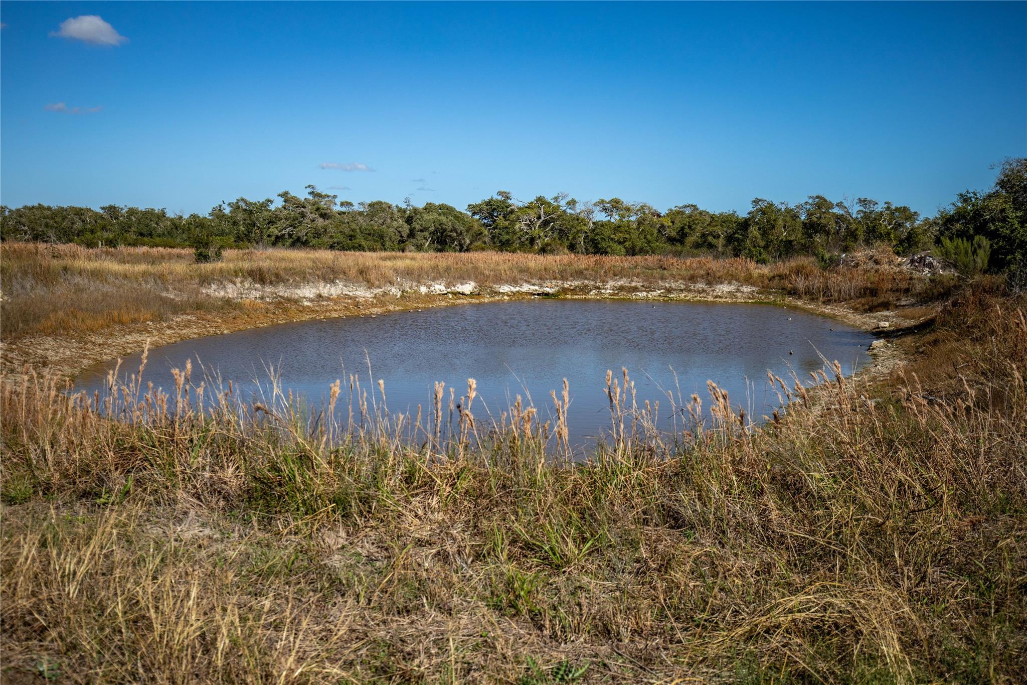 504 Shaver Rd, Aransas Pass, TX 78336