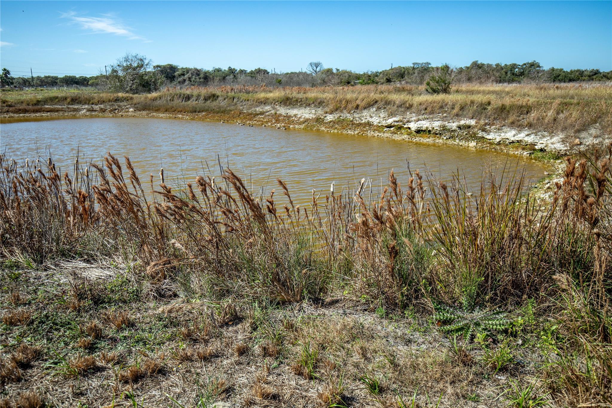 504 Shaver Rd, Aransas Pass, TX 78336