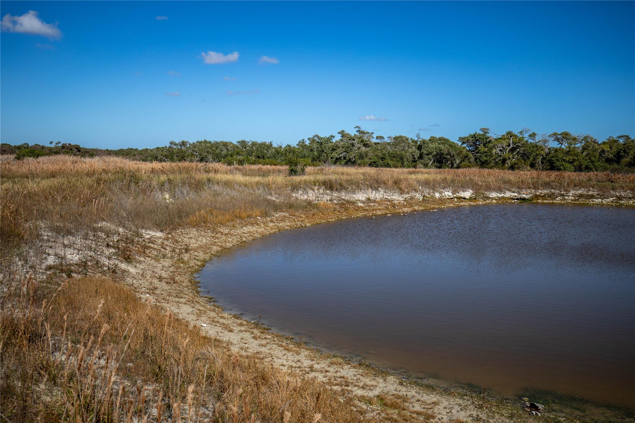 504 Shaver Rd, Aransas Pass, TX 78336