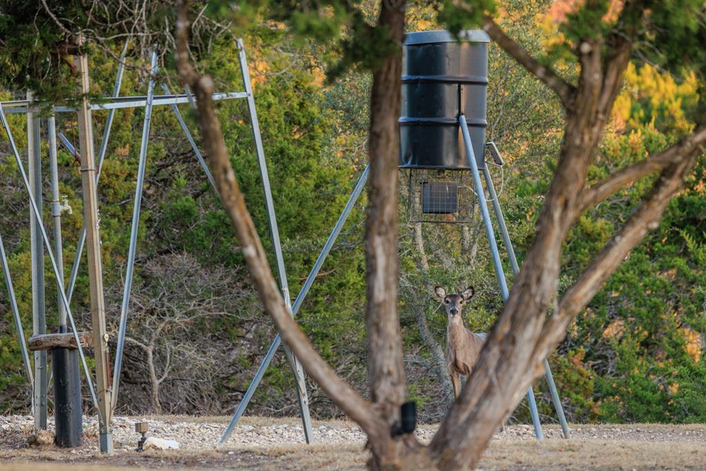 169 Royal Oaks Hill, Fredericksburg, TX 78624