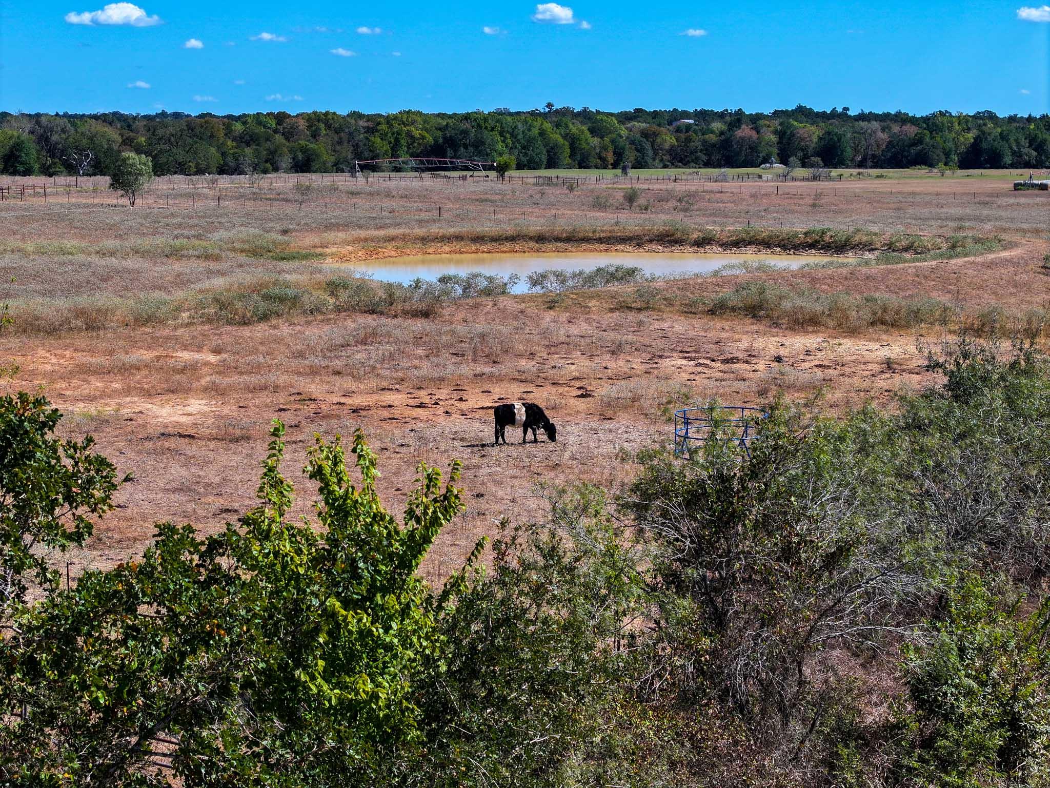 475 County Road 320, Rockdale, TX 76567