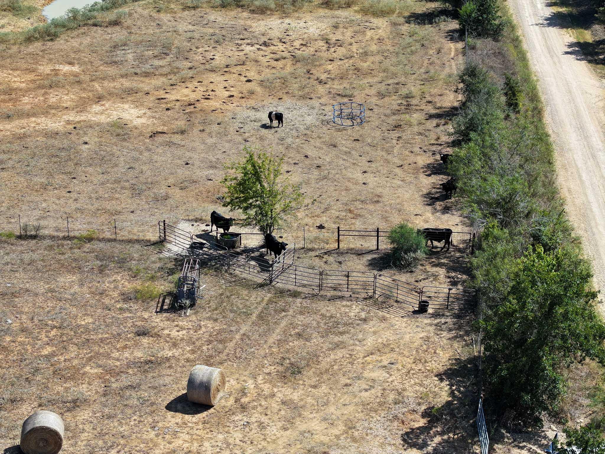 475 County Road 320, Rockdale, TX 76567