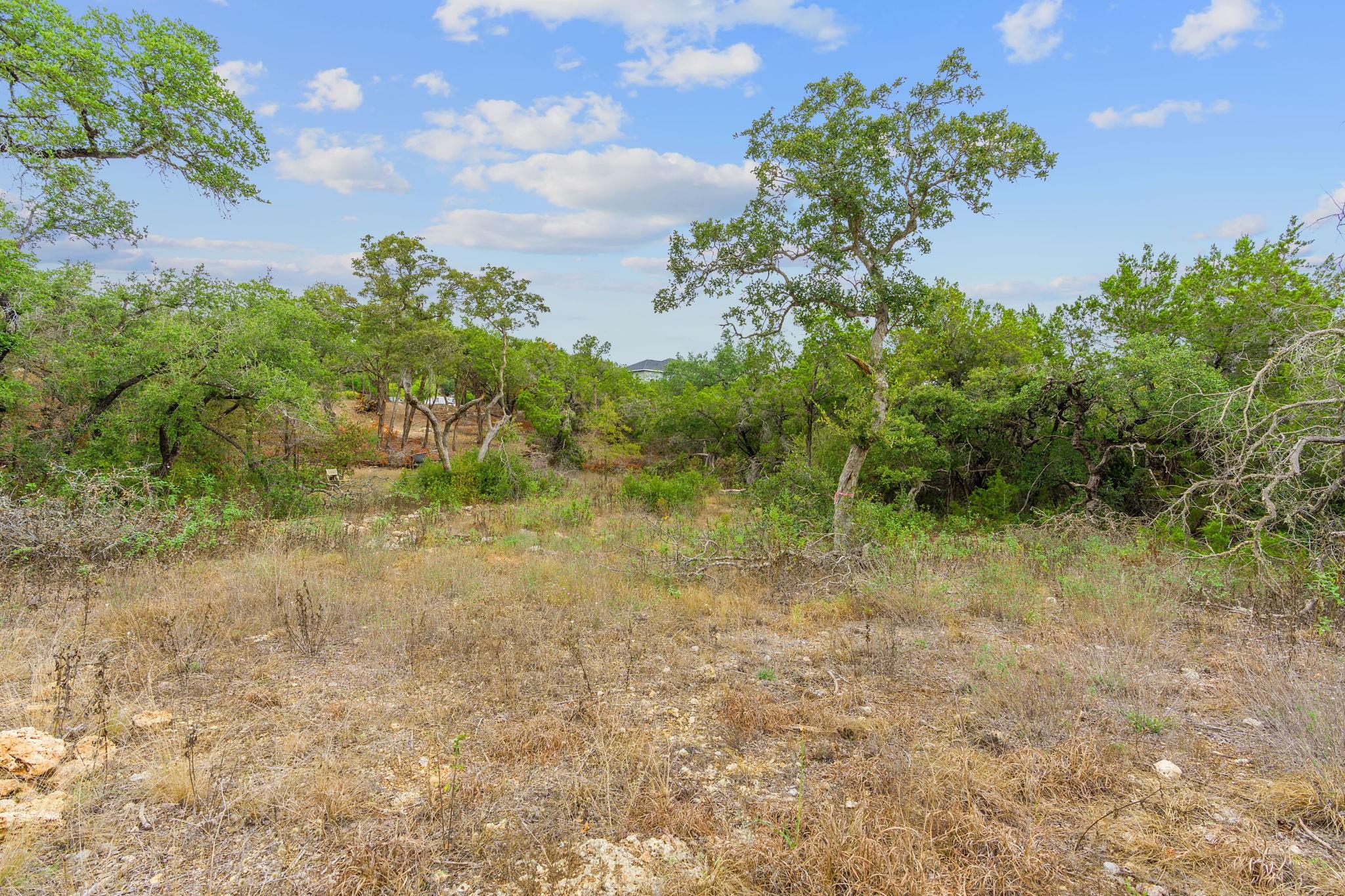 14500 Debba Dr, Austin, TX 78734