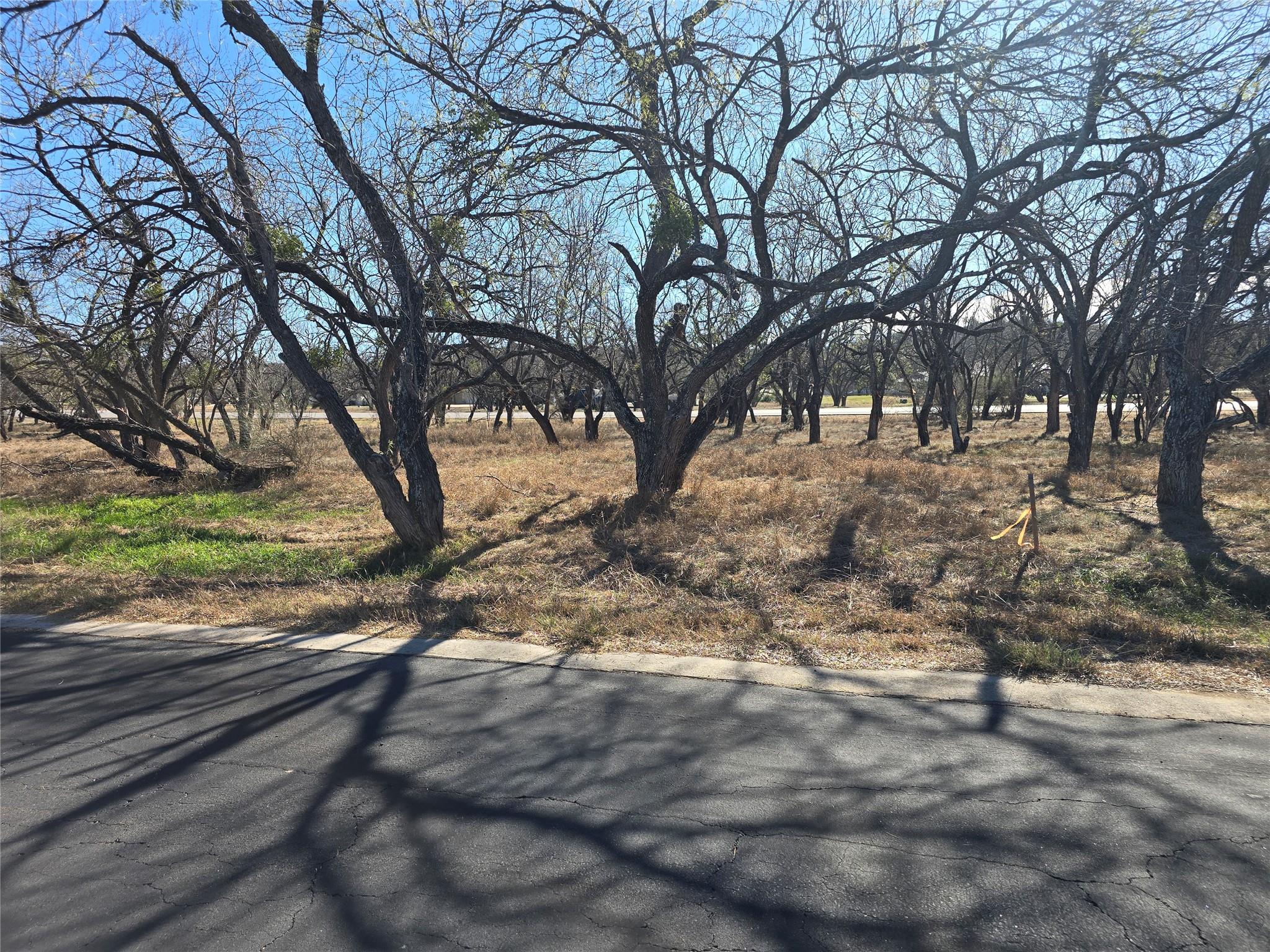 Lot 9006-A Springfield Rd # A, Horseshoe Bay, TX 78657