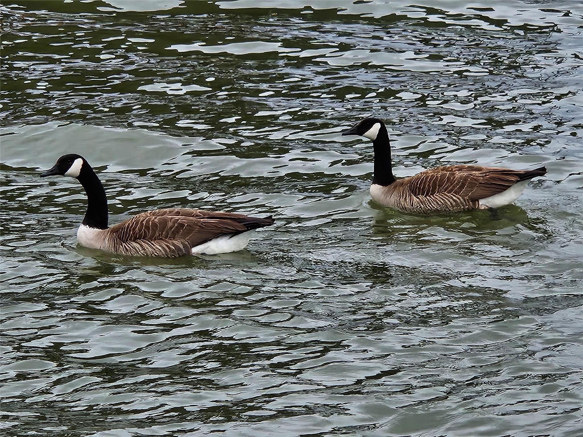 Lot 2 Beacon Point Cv, Lago Vista, TX 78645