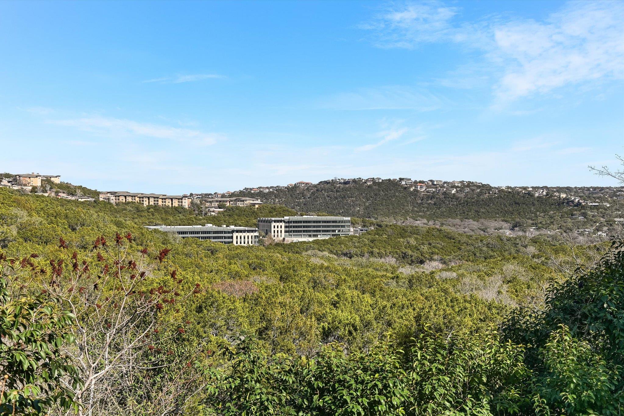 6000 Shepherd Mountain Cv # 1412, Austin, TX 78730