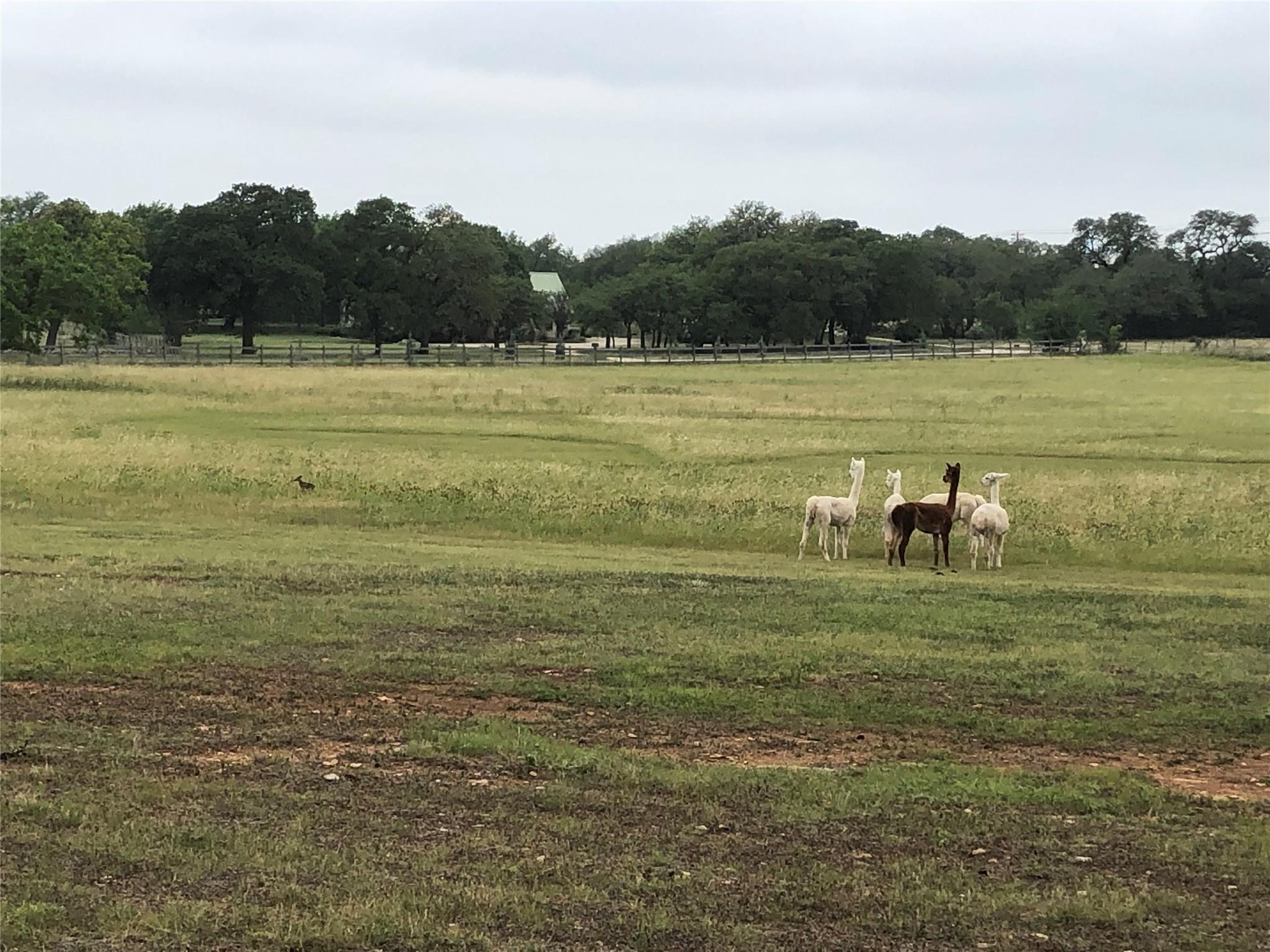 200 Spanish Oak Trl, Dripping Springs, TX 78620