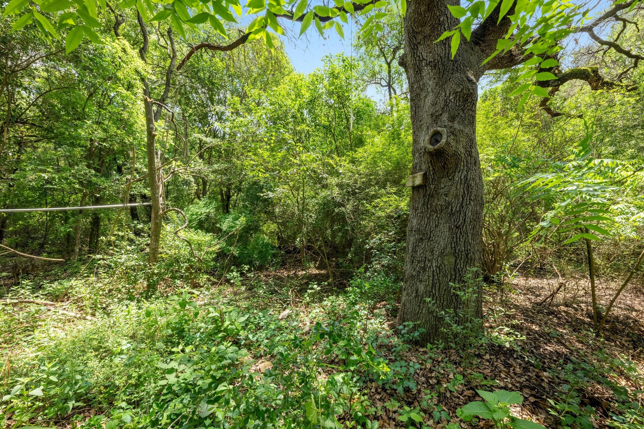 1511 Terrapin Ct # B, Austin, TX 78746