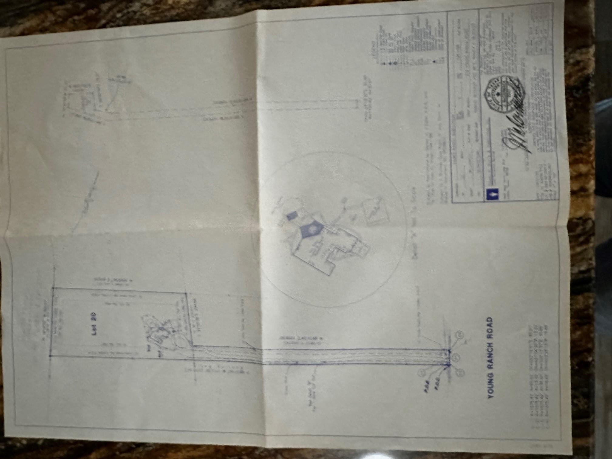 219 Young Ranch Rd, Georgetown, TX 78633