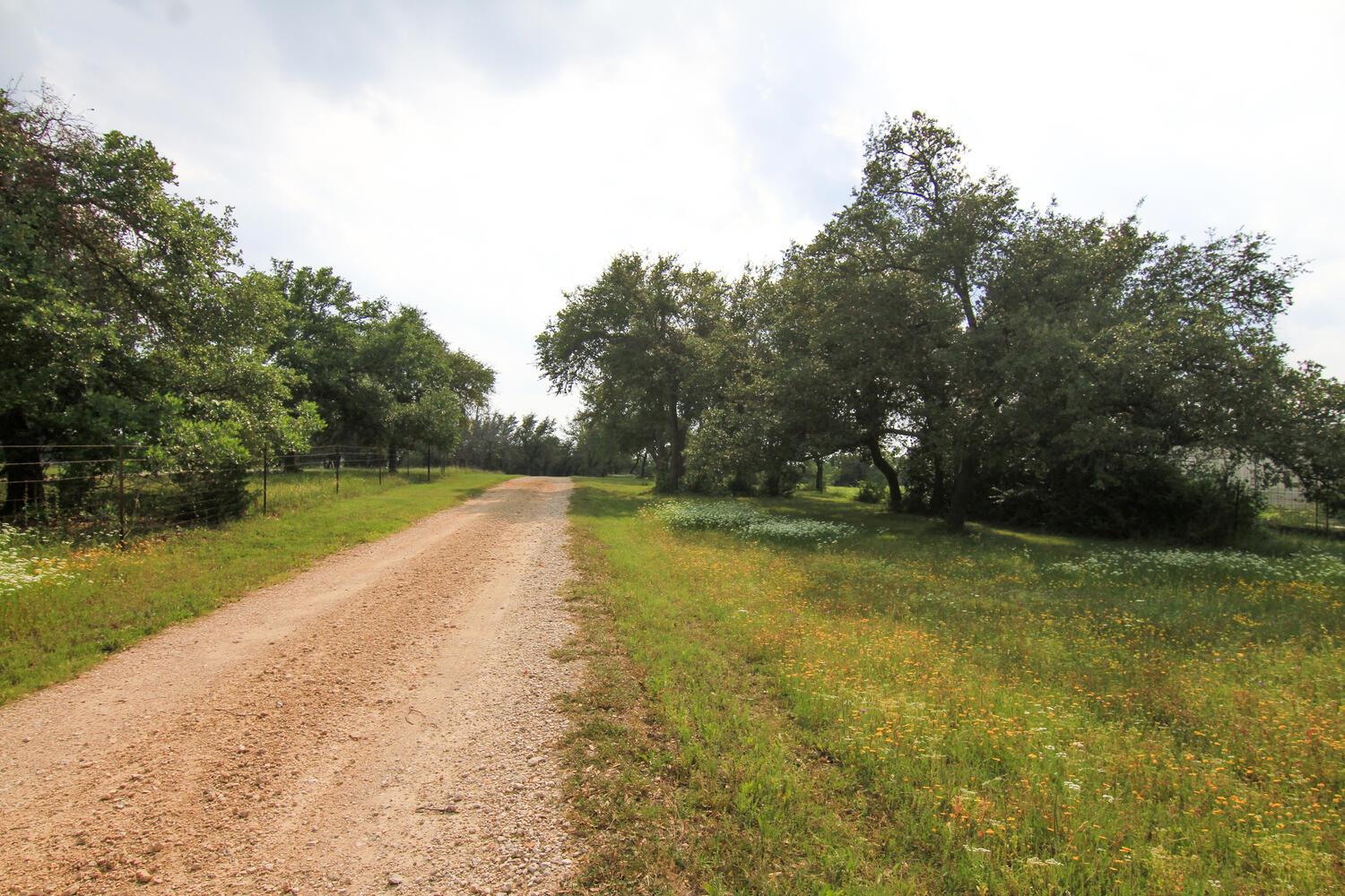 219 Young Ranch Rd, Georgetown, TX 78633