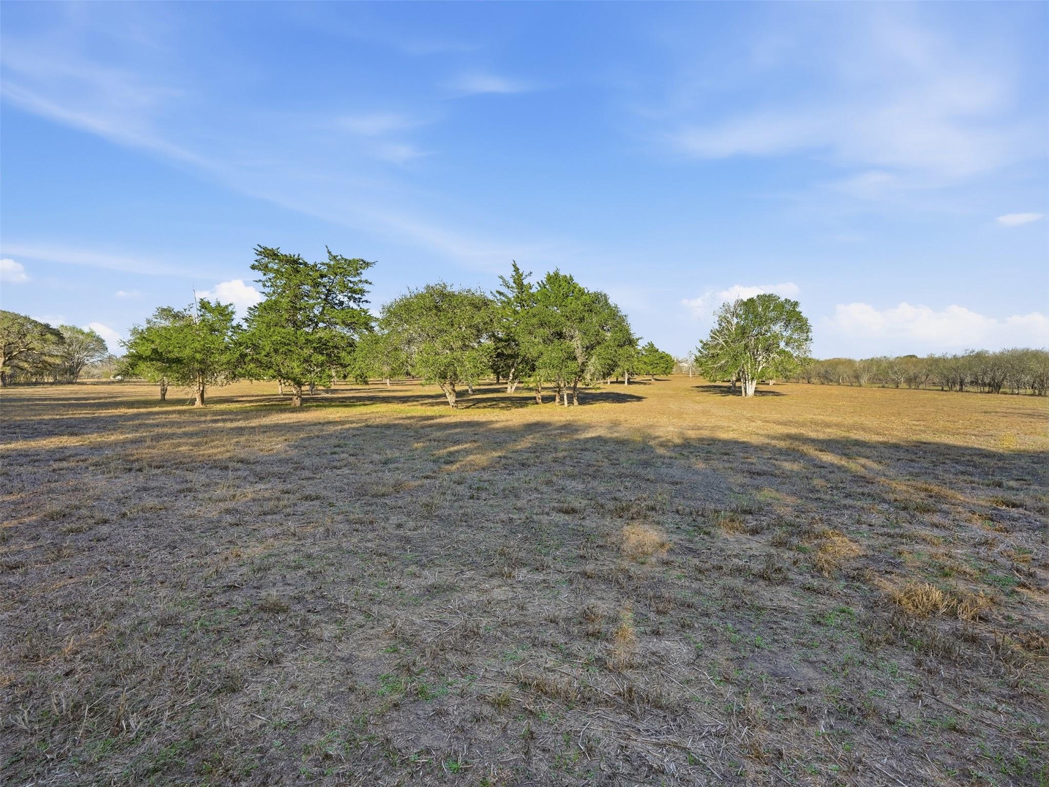 1123 Dunn St, Yoakum, TX 77995