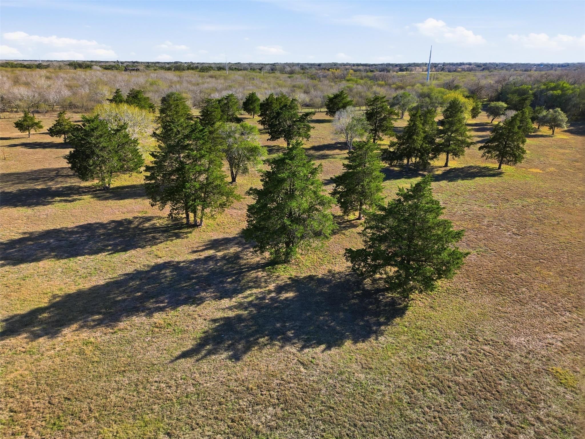 1123 Dunn St, Yoakum, TX 77995