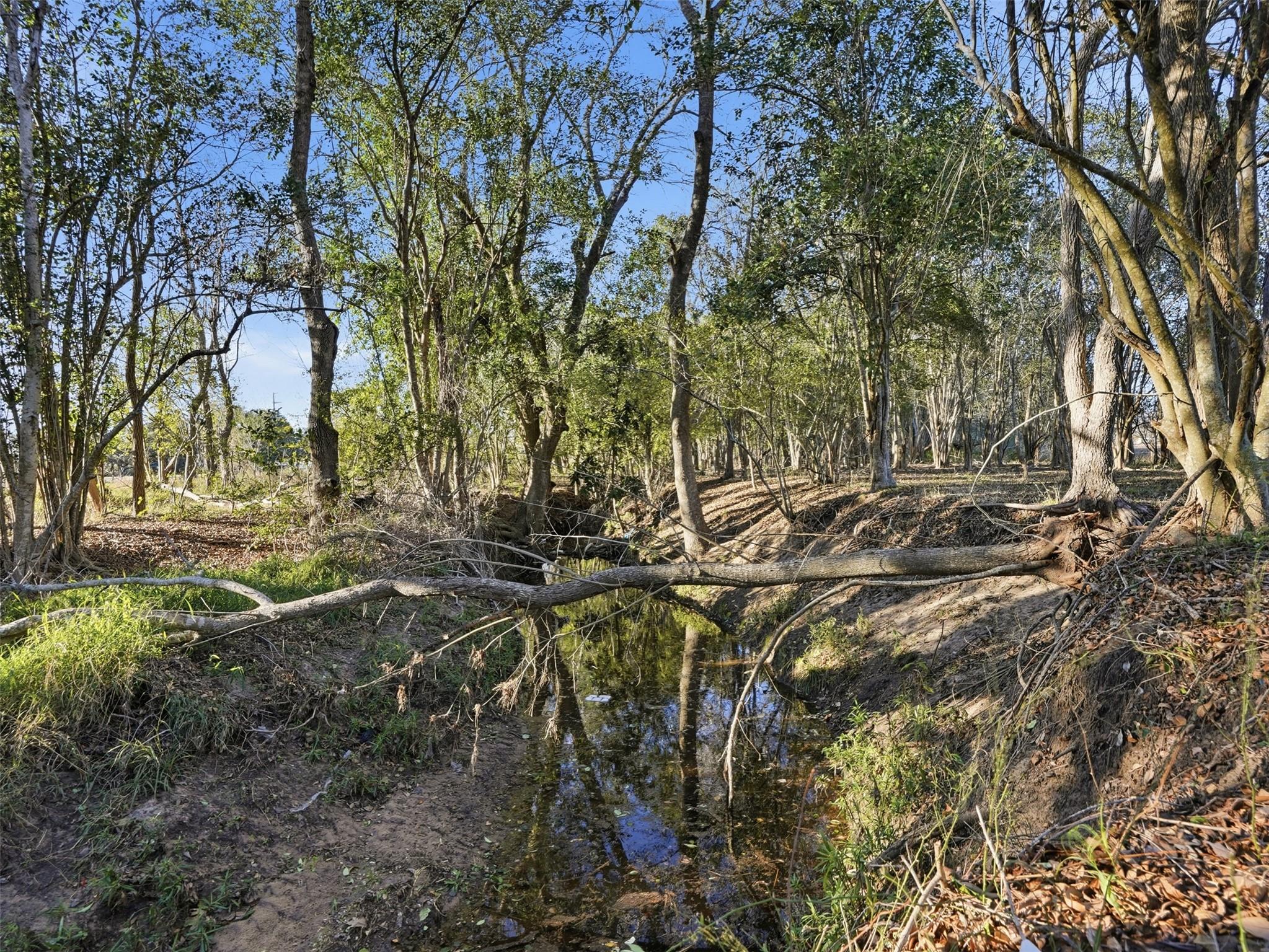 1123 Dunn St, Yoakum, TX 77995