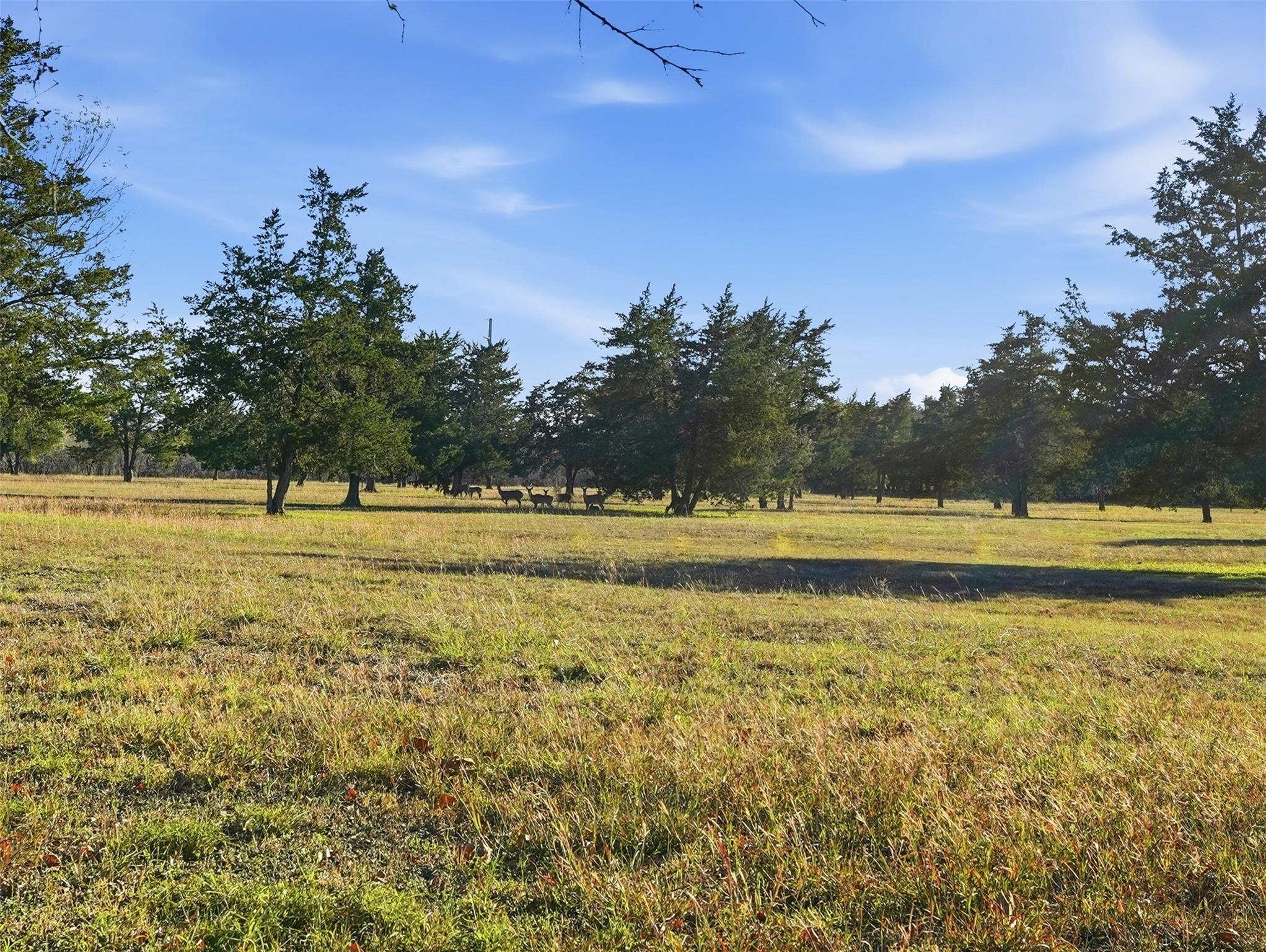 1123 Dunn St, Yoakum, TX 77995