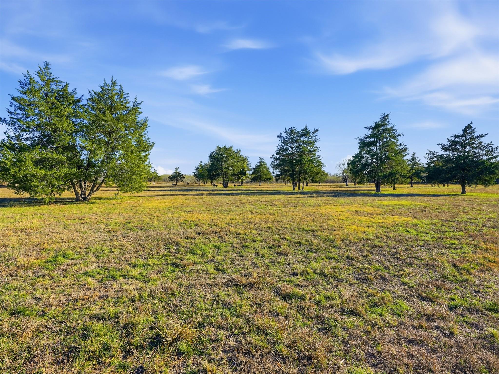 1123 Dunn St, Yoakum, TX 77995