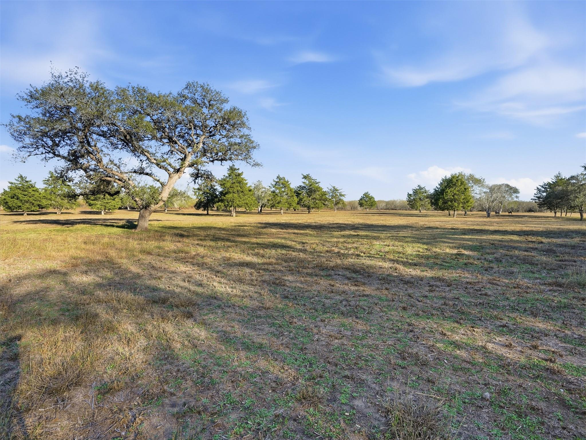 1123 Dunn St, Yoakum, TX 77995