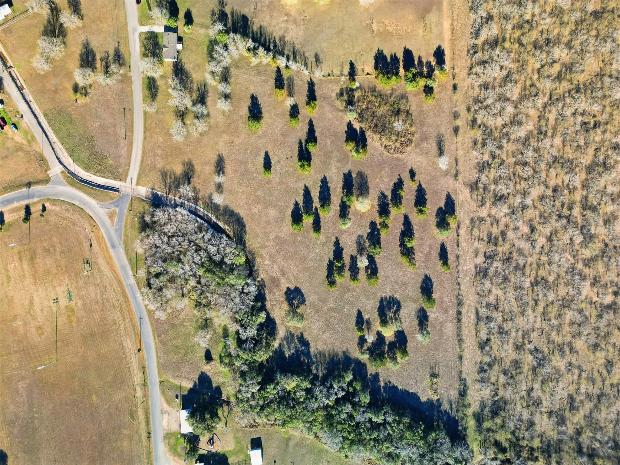 1123 Dunn St, Yoakum, TX 77995