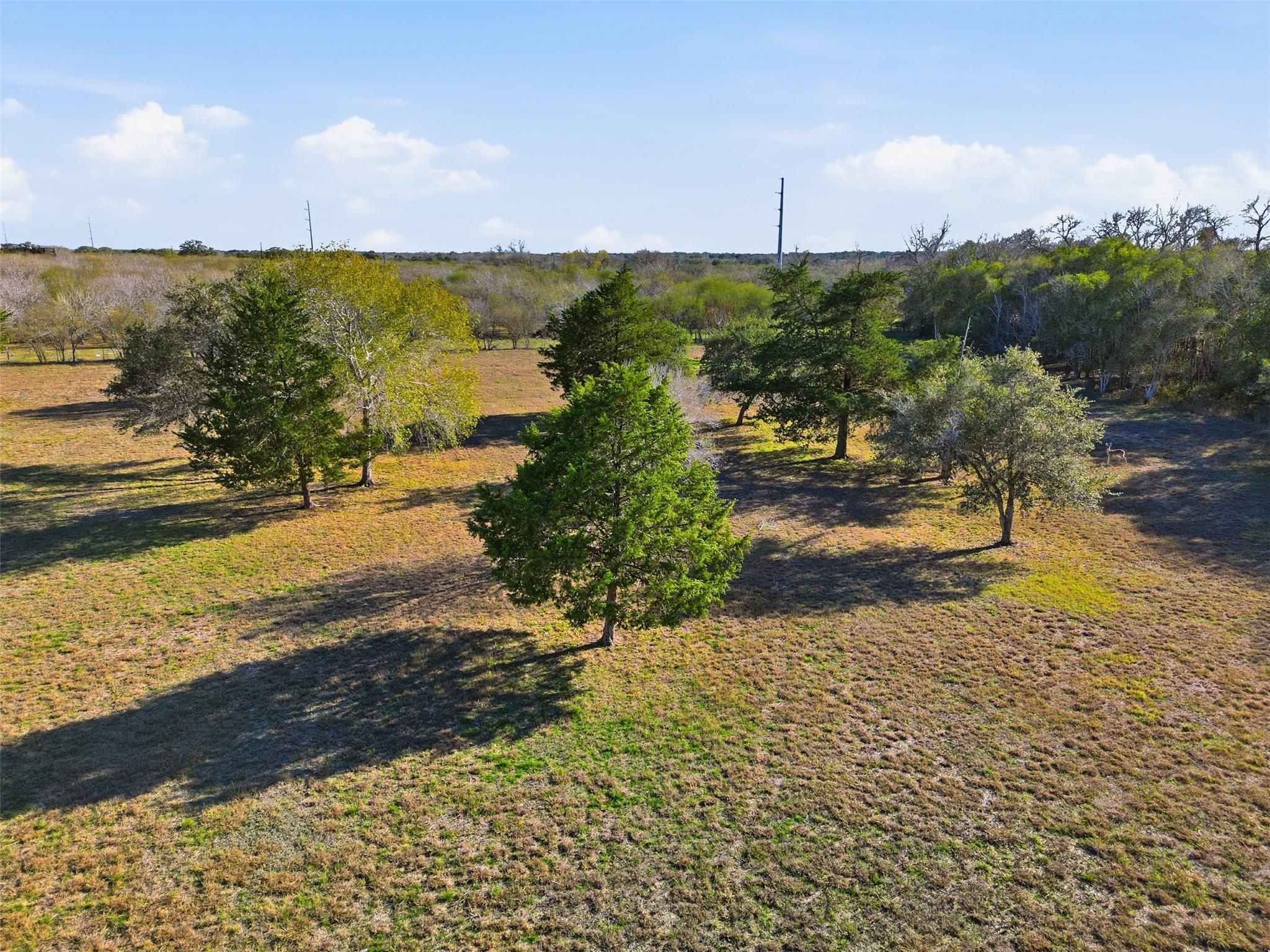 1123 Dunn St, Yoakum, TX 77995