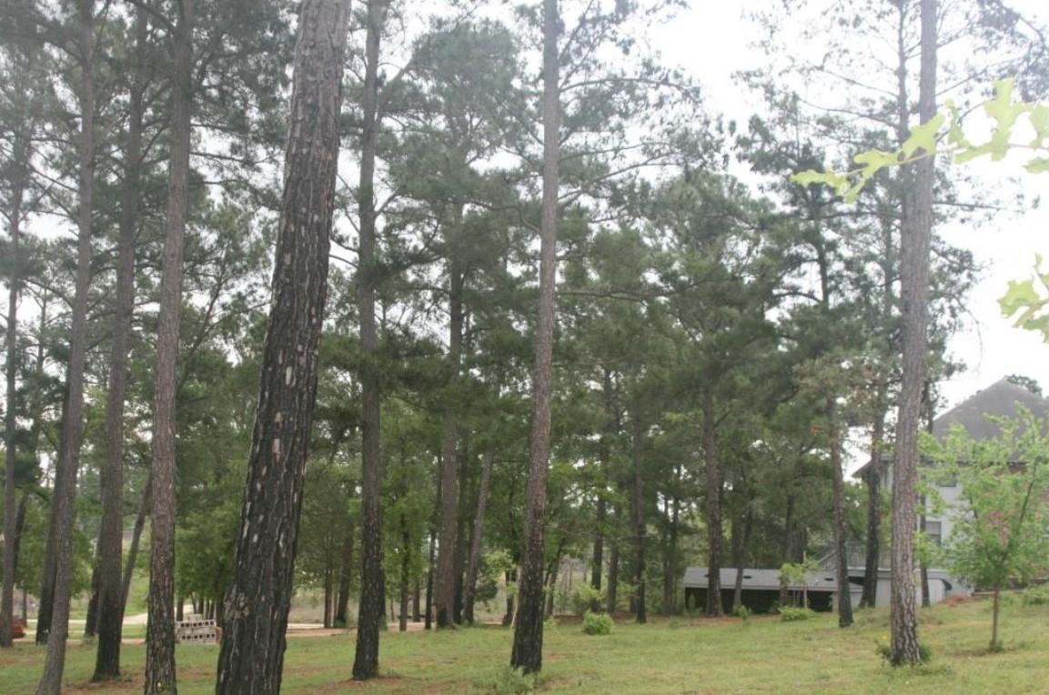 828 Highway 71 E, Bastrop, TX 78602