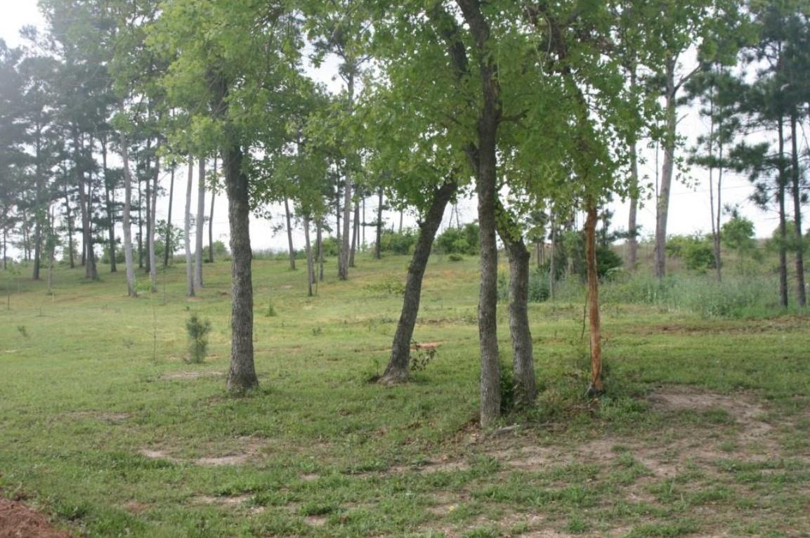 828 Highway 71 E, Bastrop, TX 78602