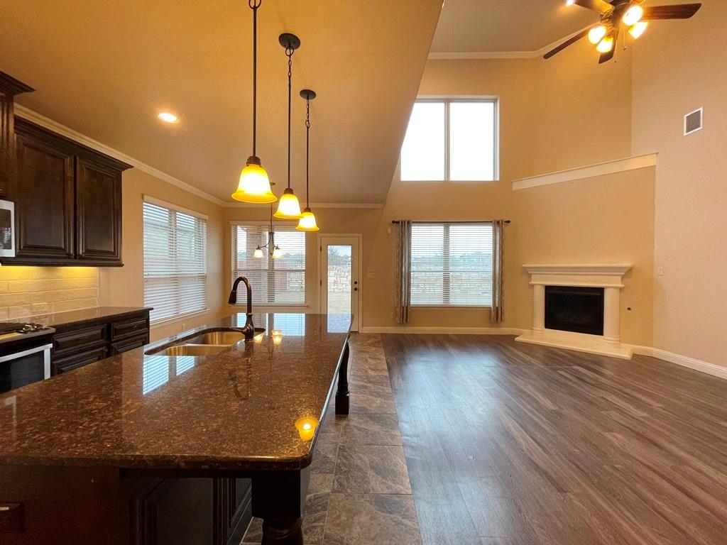 433 Mistflower Springs Dr, Leander, TX 78641