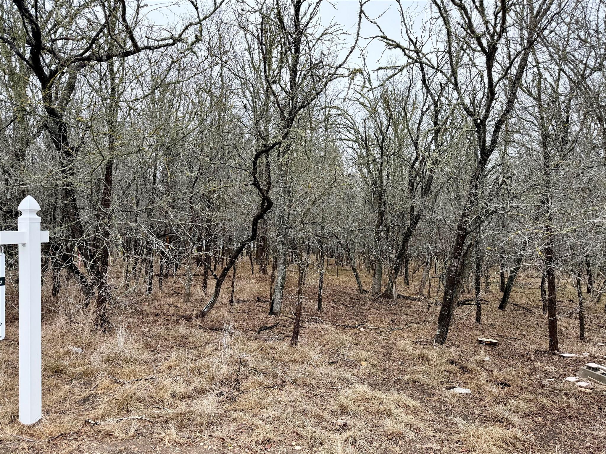 140 W Pauwela Ln, Bastrop, TX 78602