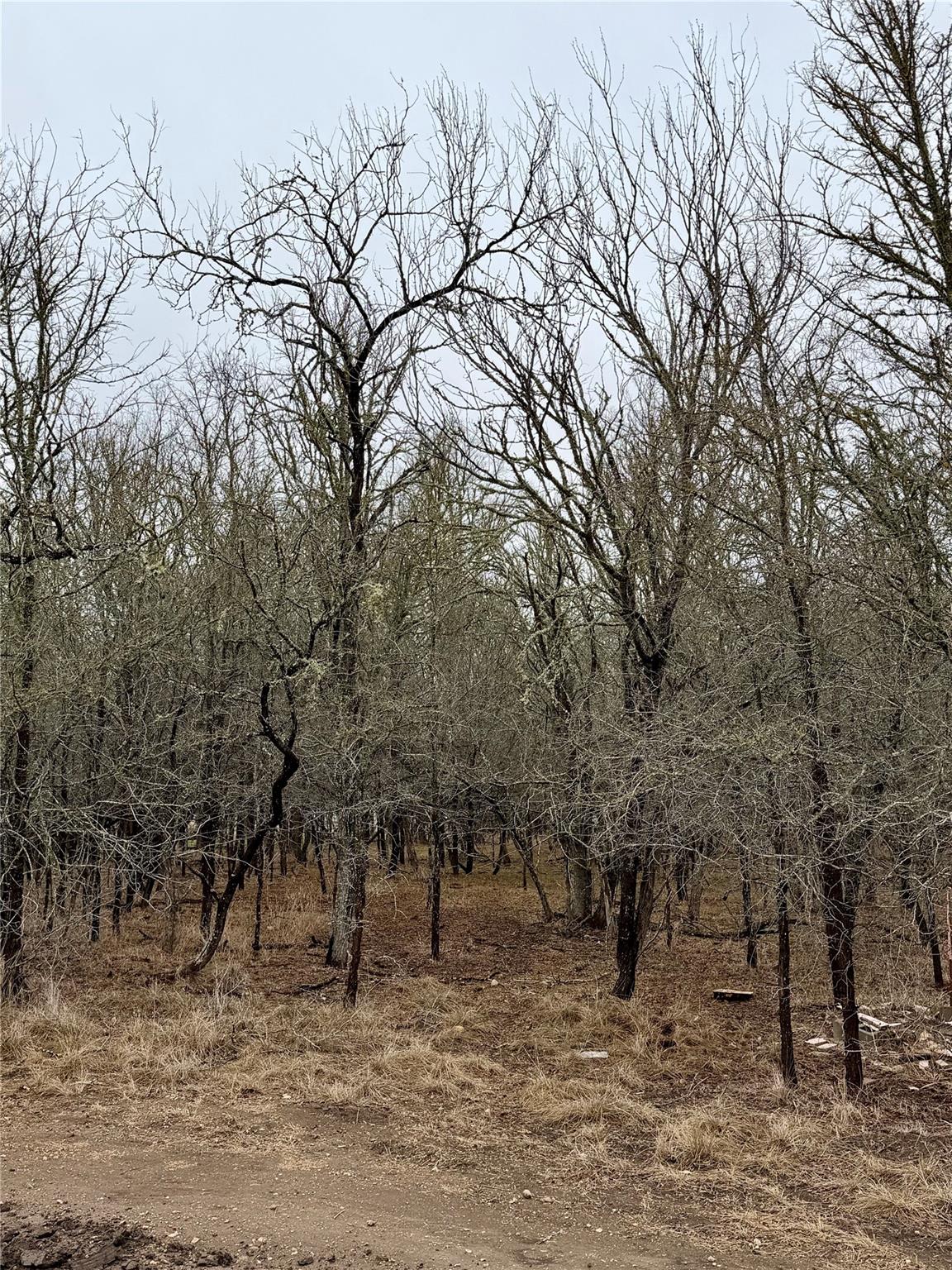 140 W Pauwela Ln, Bastrop, TX 78602