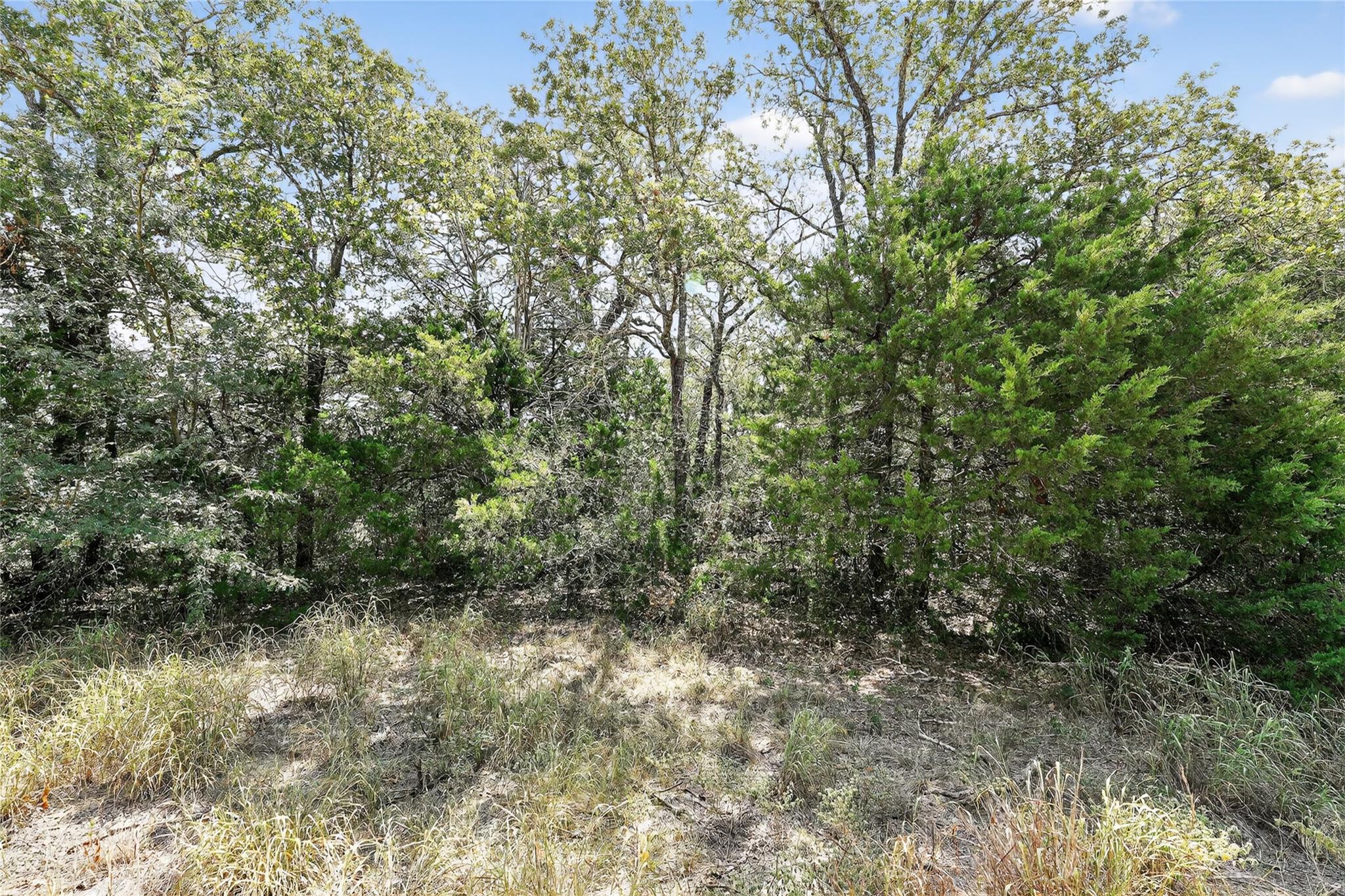 TBD TRACT B McDonald Ln W # J, Cedar Creek, TX 78612