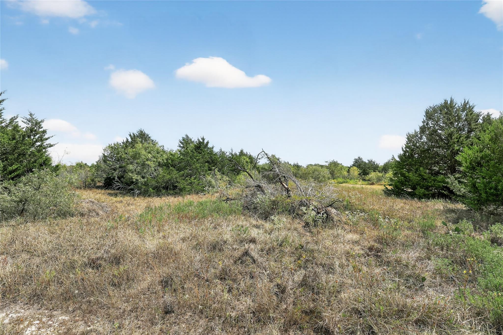 TBD TRACT B McDonald Ln W # J, Cedar Creek, TX 78612