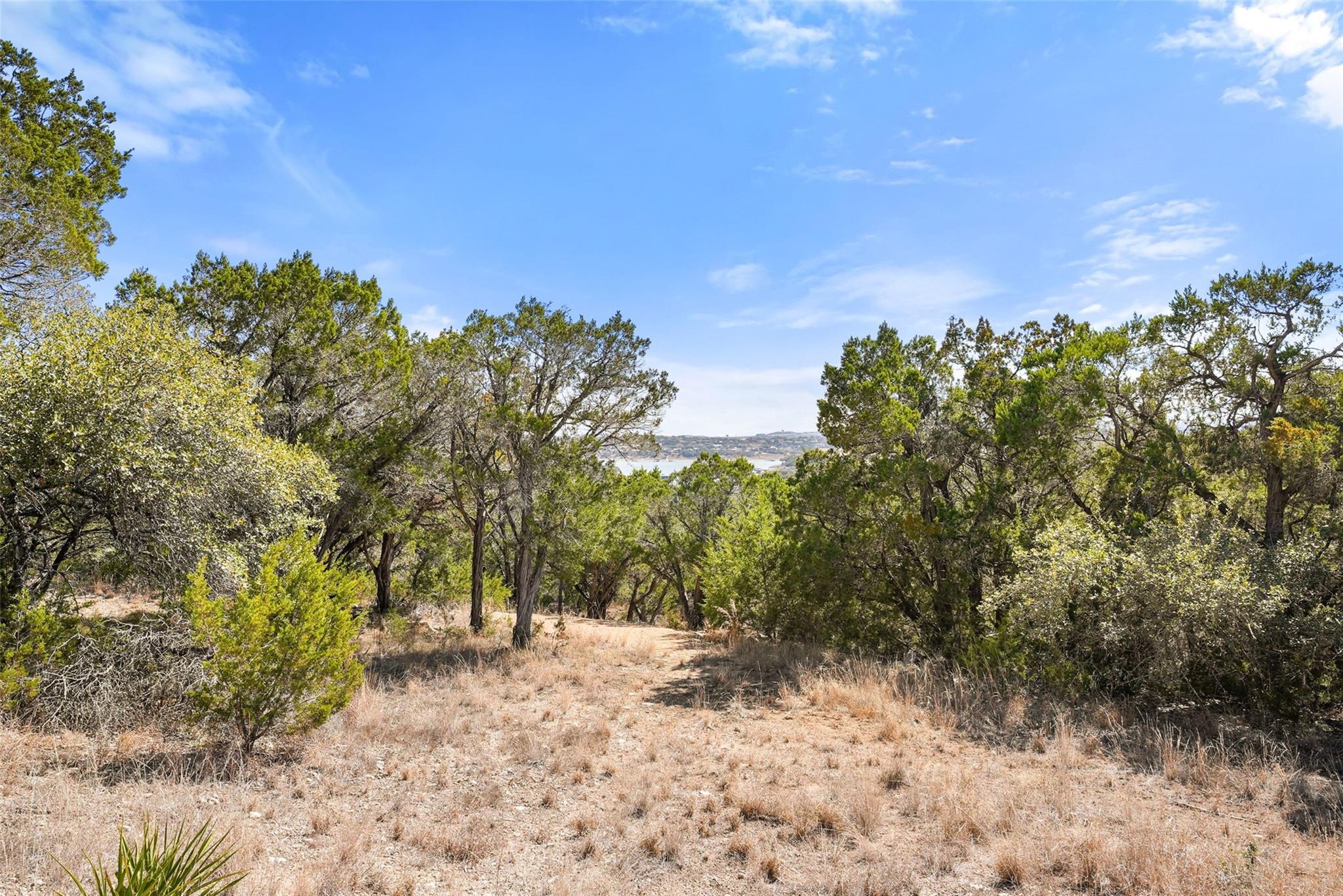 701 N Angel Light Dr, Spicewood, TX 78669