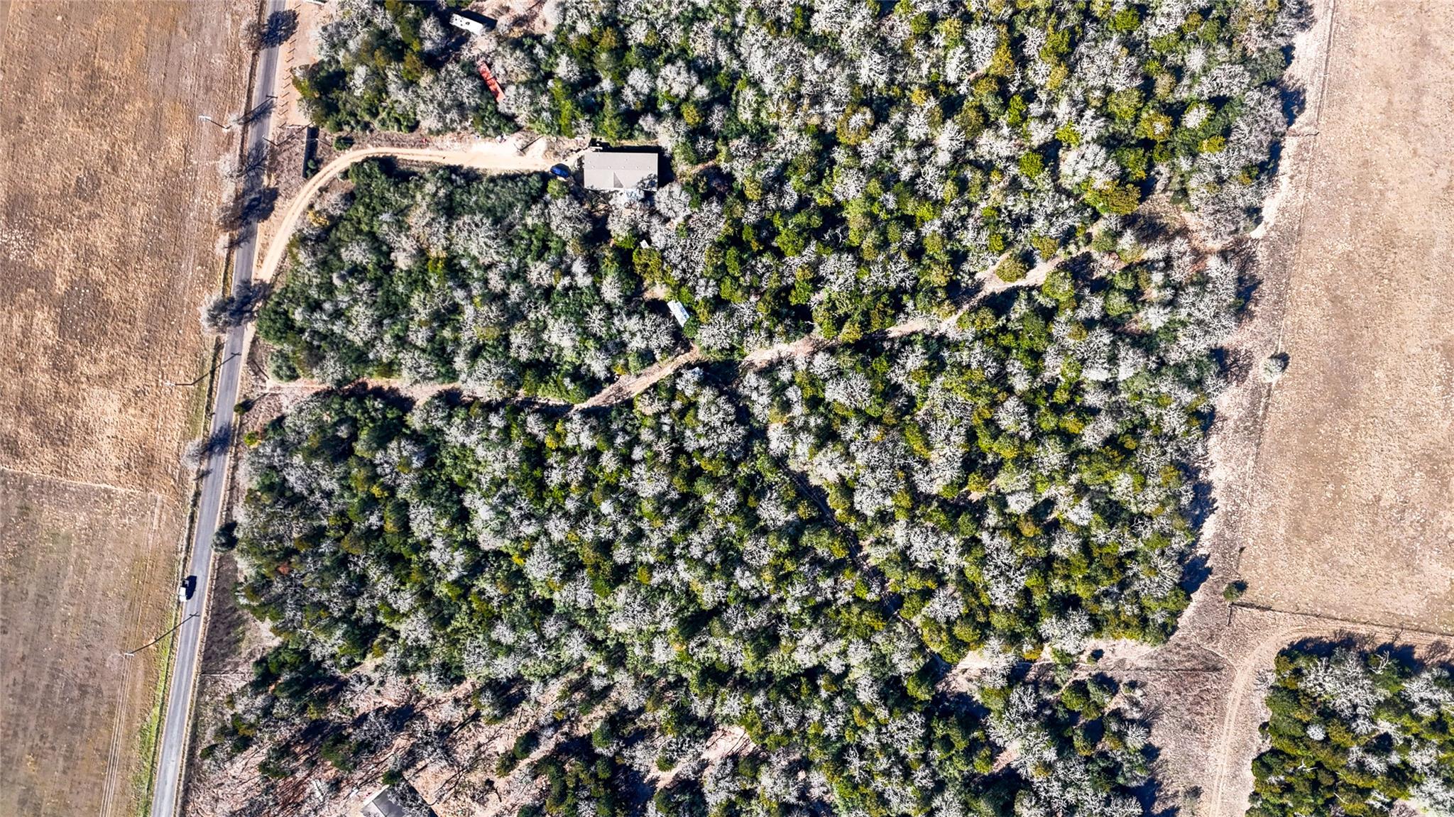 521 Paint Creek South Rd, Paige, TX 78659