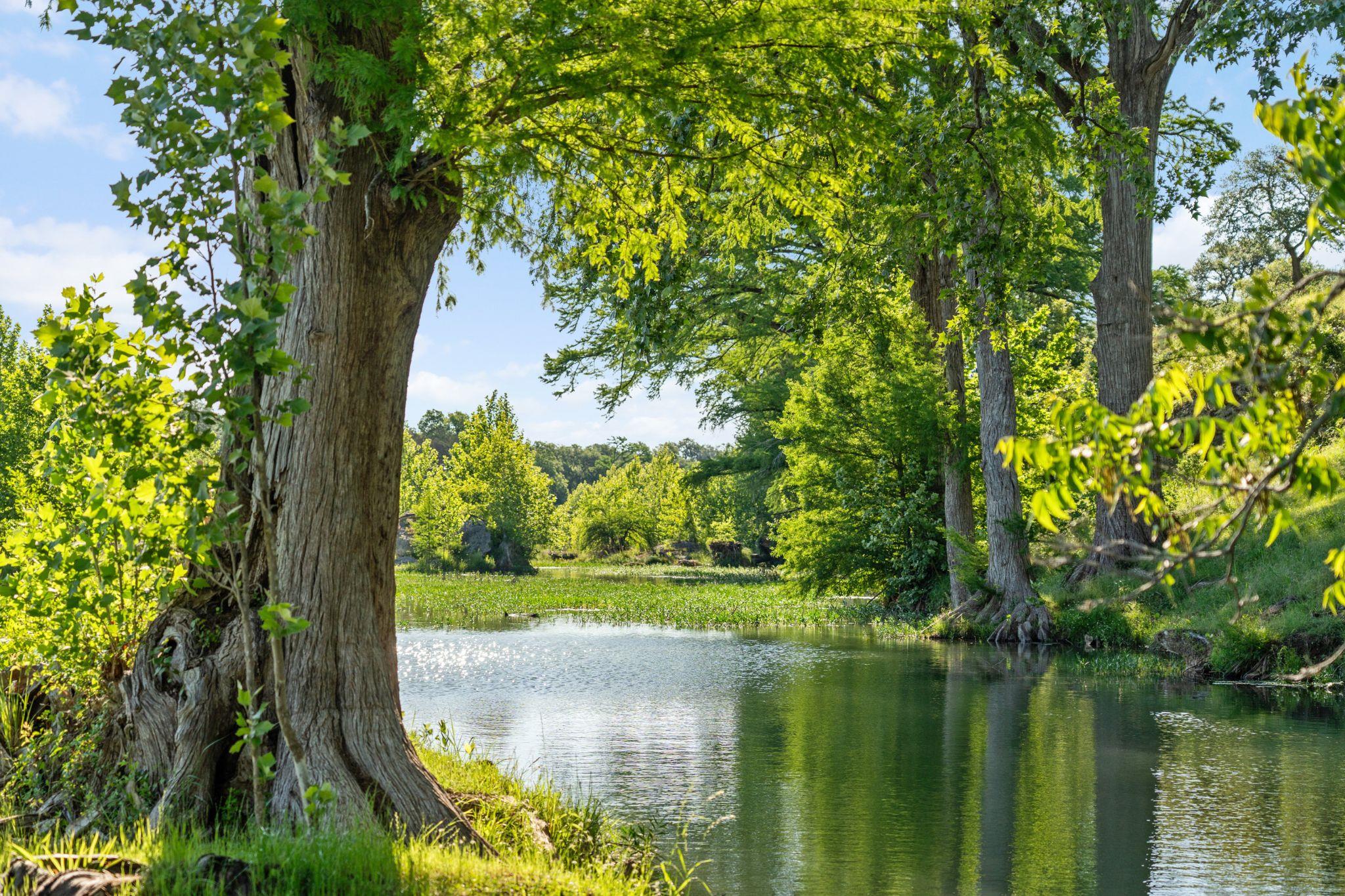 4711 Wayside Dr, Wimberley, TX 78676