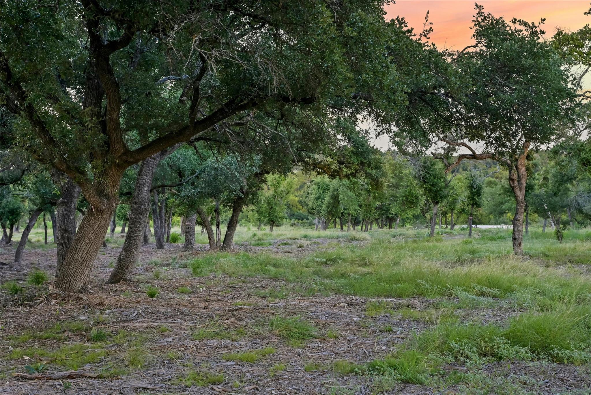 20105 West Lake Pkwy, Georgetown, TX 78628