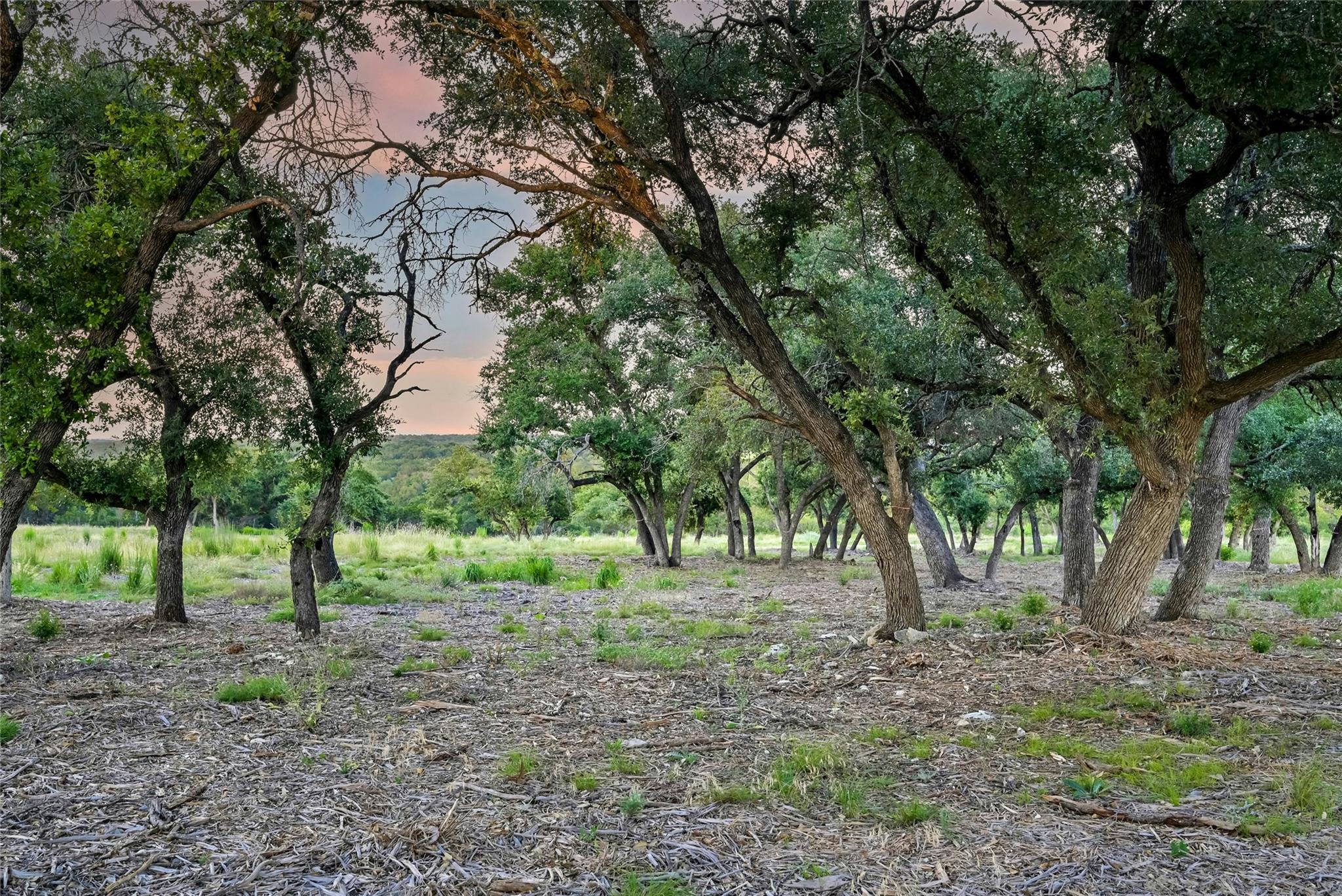 20105 West Lake Pkwy, Georgetown, TX 78628