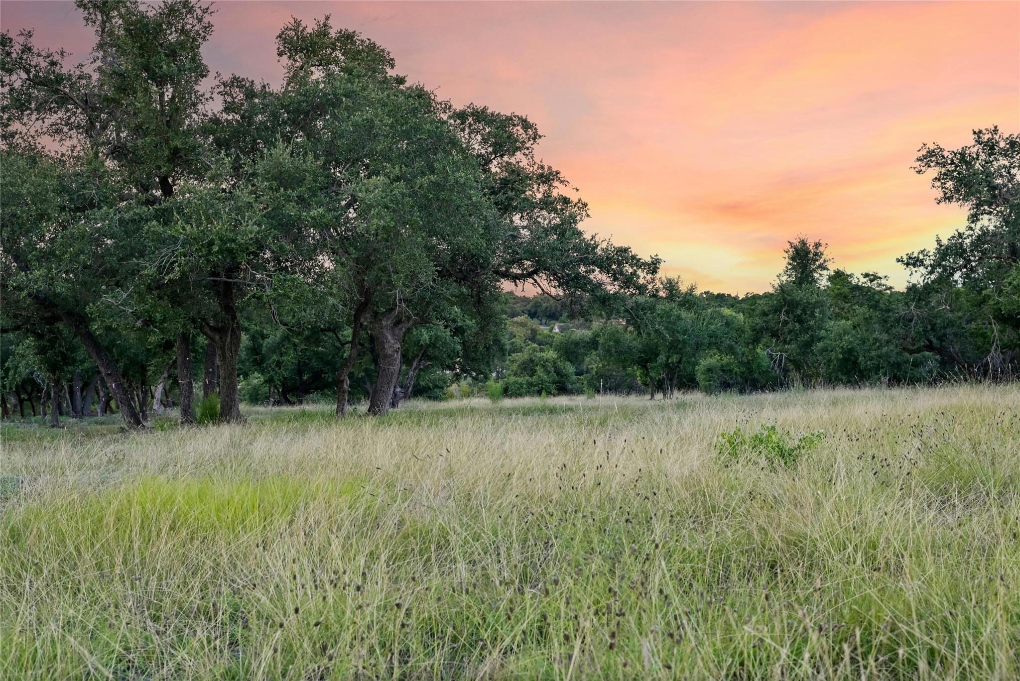 20105 West Lake Pkwy, Georgetown, TX 78628